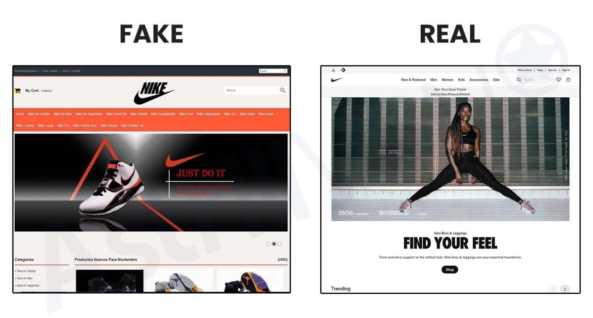 Fake Online Stores: Shopping Scam Survival Guide